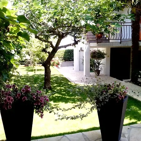 Apartment Peloza Porec