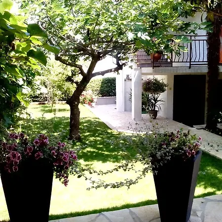 公寓 佩勒佐公寓酒店 波雷奇